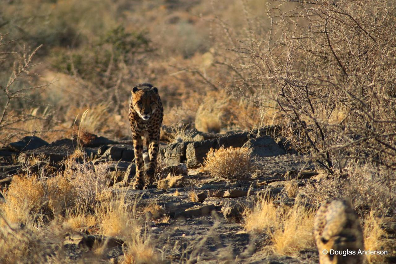 Hotel Neuras Wine&Wildlife Estate Namib-Naukluft National Park Exterior foto