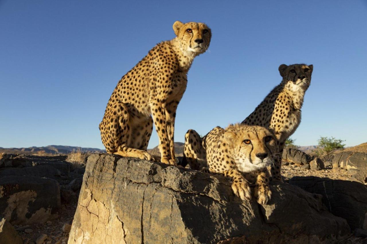 Hotel Neuras Wine&Wildlife Estate Namib-Naukluft National Park Exterior foto